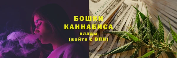 ГАЛЛЮЦИНОГЕННЫЕ ГРИБЫ Елабуга