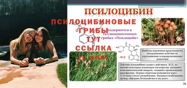 не бодяженный Медвежьегорск