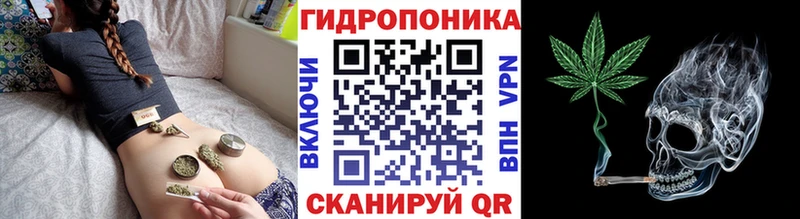 Марихуана индика  MEGA ССЫЛКА  Нелидово 